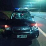 Após ser atropelado, traficante é preso pela PRF na Freeway