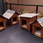 Apenados do presídio constroem casinhas para animais