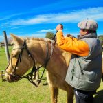 Sapucaia do Sul fará Cavalgada Solidária para arrecadar doações para quem mais precisa