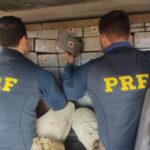 Mais de 348 quilos de cocaína avaliados em R$ 14,5 milhões foram apreendidos pela PRF nesse domingo