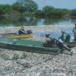  Ministério Público ajuíza ações por danos ambientais devido à mortandade de peixes no Sinos em 2006