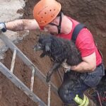 Resgate de cachorrinha em tubulação dura 4 horas em Sapucaia do Sul 