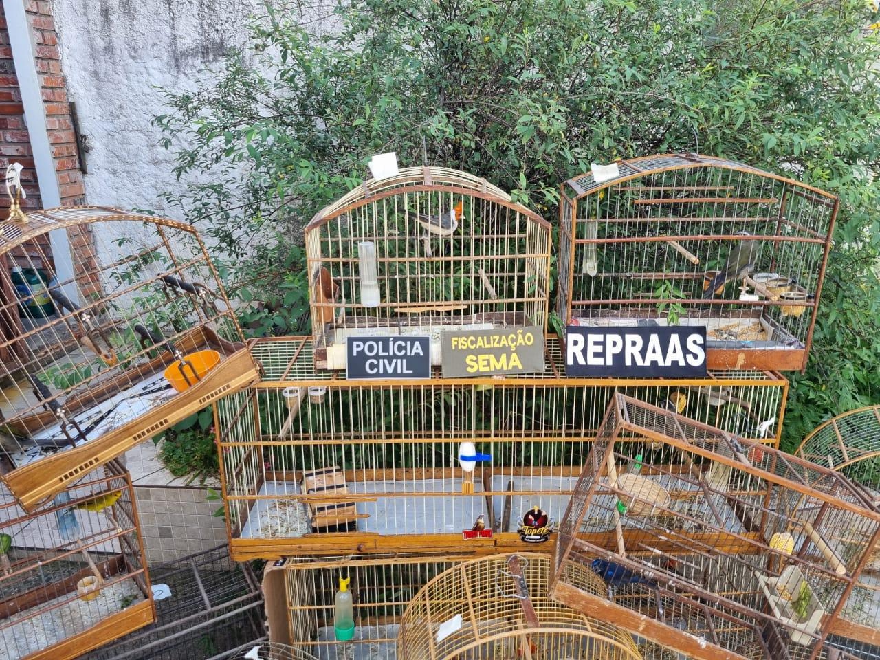 Operação Arca apreende 21 aves silvestres mantidas em cativeiro e uma ave doméstica em situação de maus tratos