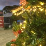 Natal em São Leopoldo é tema de encontro entre Sedettec, Conselho de Turismo, entidades e Sicredi