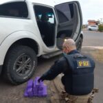 PRF prende homem em SL pela sexta vez por tráfico de drogas