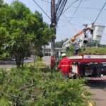 Prefeitura de São Leopoldo inicia podas de galhos que atrapalham a mobilidade da cidade