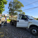Mutirão contra a dengue em São Leopoldo já recolheu 15 toneladas de objetos