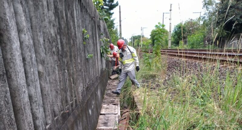 Após novo caso de furto de cabos entre Sapucaia e São Leopoldo, trens operam com atrasos neste sábado