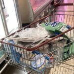 Procon de São Leopoldo autua supermercado devido a venda de produtos fora da validade