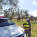 25º BPM realiza policiamento em áreas rurais da região