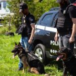Segundo Torneio de Cães de Polícia ocorrerá em Sapiranga entre 31 de março e 2 de abril