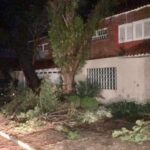 VÍDEO : Queda de árvore e falta de energia em São Leopoldo após vento e chuva