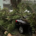 SP: Chuva mata 6, derruba árvores e deixa morador sem luz por mais de 18 h