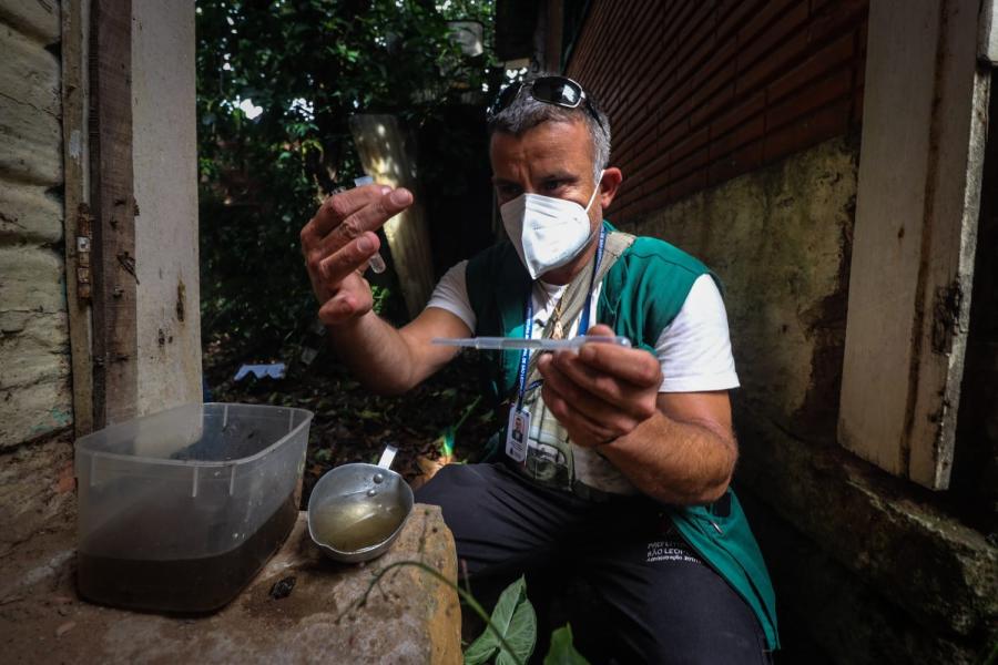 ALERTA: Levantamento aponta risco alto para dengue em São Leopoldo
