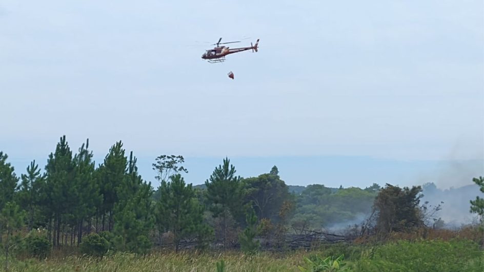 Incêndio atinge 200 hectares na maior unidade de conservação de Palhoça, Santa Catarina
