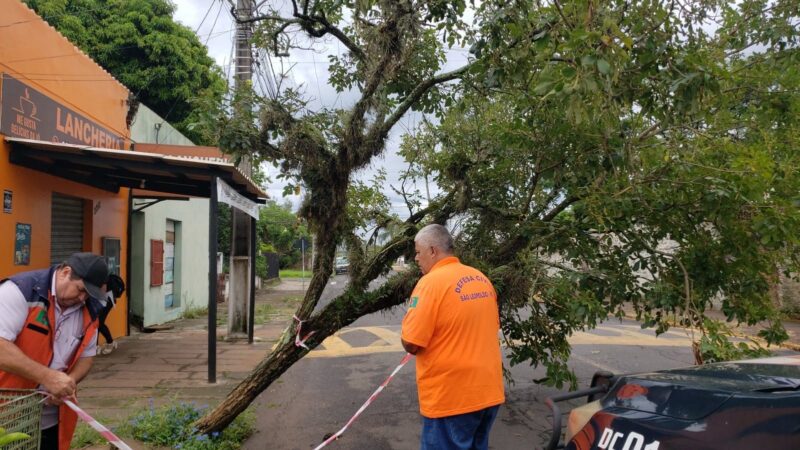 16 casas destelhadas e mais de 28 árvores caídas é o balanço da Defesa Civil de São Leopoldo até o momento