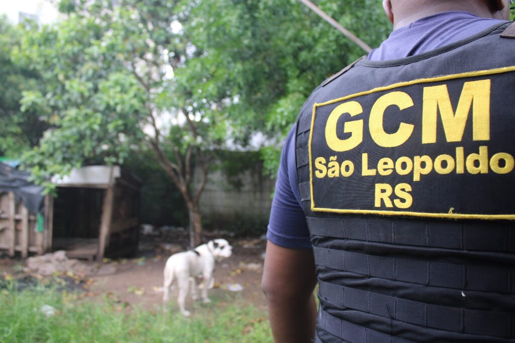 Sempa e GDA atuam em conjunto pela proteção animal em São Leopoldo