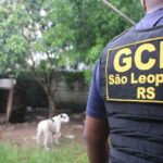 Sempa e GDA atuam em conjunto pela proteção animal em São Leopoldo