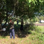 Comunidade atende chamado e inicia o mutirão de revitalização do Parque do Trabalhador